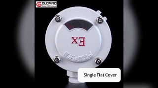 GLO-AH กล่องรวมสัญญาณกันระเบิด