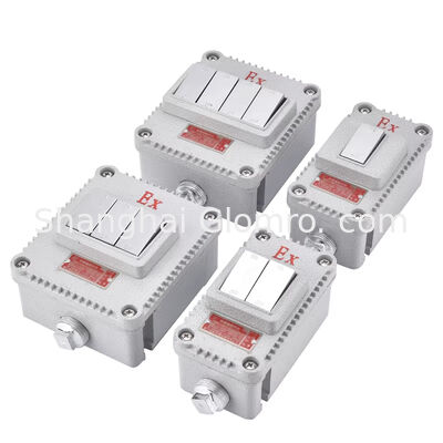 Increased Safety Type Explosion-proof Wall Switch Double Gang IP65 Rated