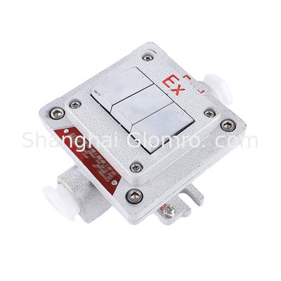 Flameproof Type Explosion-proof Wall Switch Surface-mounted Explosion-proof, Dust-proof and Water-resistant