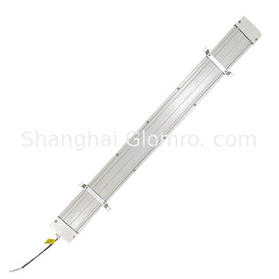 Durable Project Level Explosion-proof fluorescent lamp Factory Workshop General Use 20W-80W