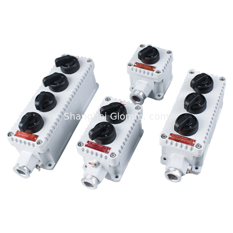 BXT-4H Explosion-proof Combination Switch Box Fire Alarm control button