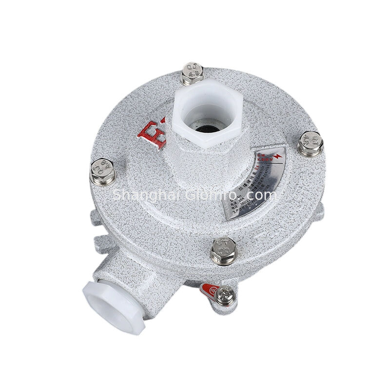 G1/2-G1-1/4 AH-IIB Type F Single Hanger Junction Box, Exd IIB T6 IP65 Aluminum Alloy, 220V/380V