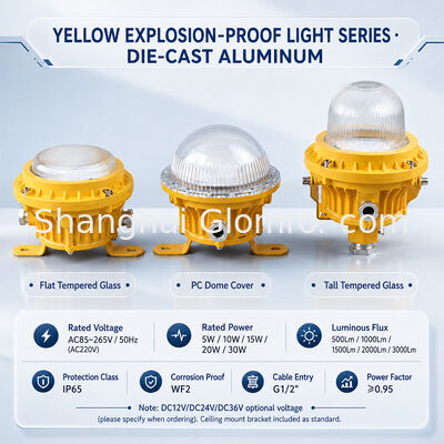 GLOMRO ไฟ LED กันระเบิดสำหรับพื้นที่อุตสาหกรรมหนัก 30W SMD 3000Lm AC85V-265V สำหรับโรงงานปิโตรเคมี